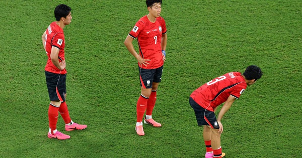 GO88 Việt Nam: Cú sốc World Cup và bài học từ khoảng cách Hàn – Nhật - hình ảnh - go88bet.vip