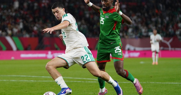 Sao trẻ gốc Việt Ibrahim Maza: Tương lai rực sáng tại Premier League sau World Cup 2026? - hình ảnh - go88bet.vip
