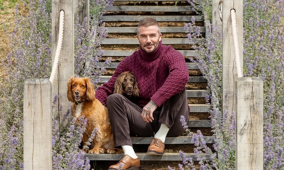 GO88 baccarat và phong cách thời thượng của David Beckham: Khi đẳng cấp hội tụ - hình ảnh - go88bet.vip GO88 baccarat và phong cách thời thượng của David Beckham: Khi đẳng cấp hội tụ - hình ảnh - go88bet.vip